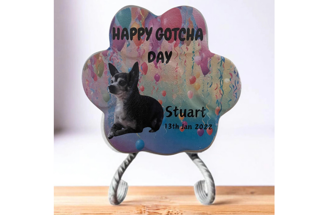 Celebra el Amor por tu Mascota con la Huella de Piedra Personalizada "Feliz Día, Te Tengo"