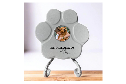 Regalos Únicos para tu Mascota: Ideas que Van Más Allá de lo Común