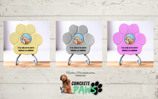 Amor por los Gatos y Perros: Un Regalo Divertido para Los Amantes de los Felinos con Humor