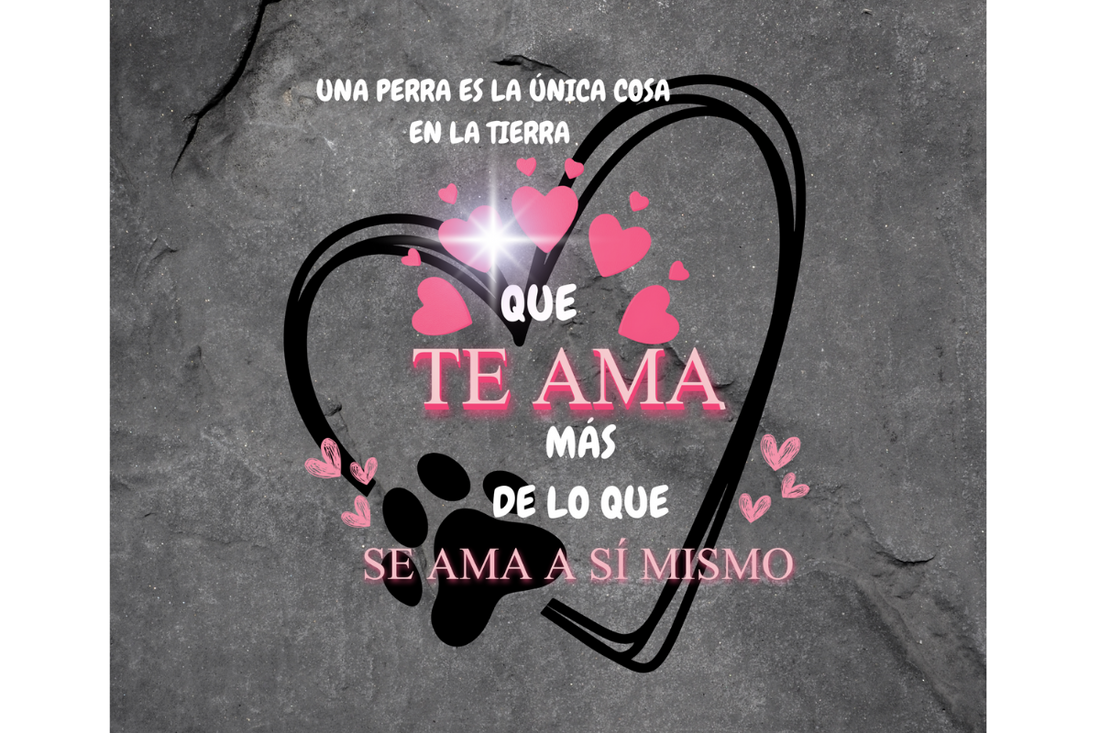 Nueva placa para mascotas: un regalo especial para los amantes de los animales
