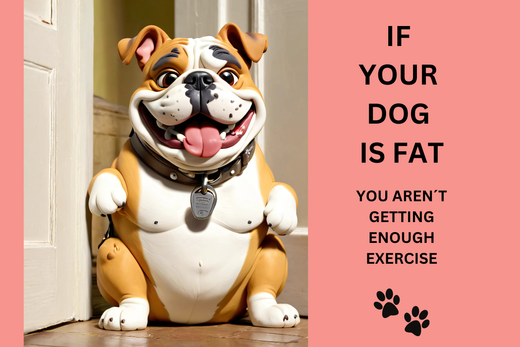 Are We Walking Our Dogs Enough?