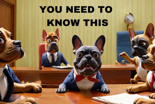 You Need To Know This