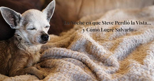 Cuando un Perro Pierde la Vista de Noche: Caso de Steve