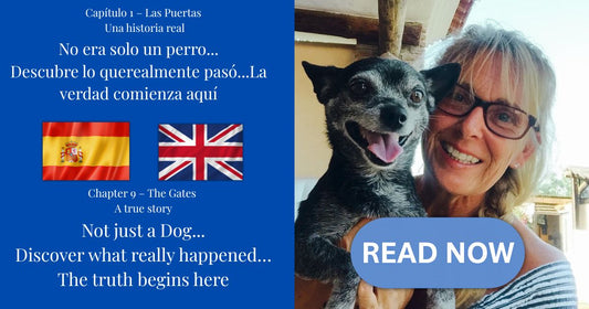 Capítulo 1 – Las Puertas: Christine sonríe sosteniendo a su perro rescatado, imagen destacada del blog sobre la historia real “No era solo un perro”.