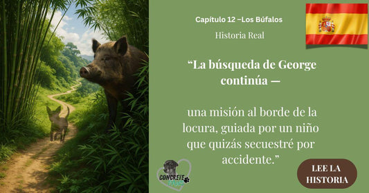 Jabalí salvaje en bosque de bambú observa un perro perdido — simboliza la búsqueda real y desesperada de George en Alhaurín.