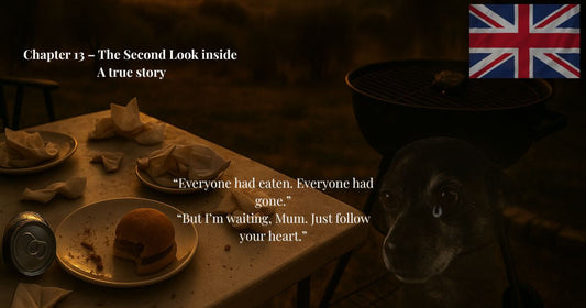 “Dog waiting by barbecue table after meal. Emotional story of love and loss. Chapter 13 – The Second Look Inside.”