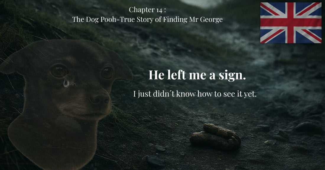 Chapter 14 – Emotional image from George's blog. Dog with tears, poop on the floor, and an English flag. Phrase: "He left me a mark."