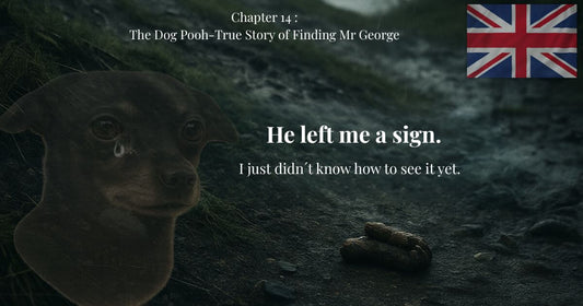 Chapter 14 – Emotional image from George's blog. Dog with tears, poop on the floor, and an English flag. Phrase: "He left me a mark."