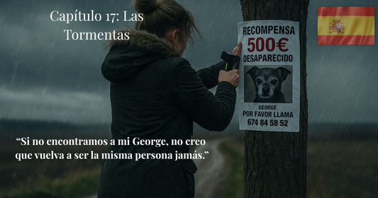 Mujer colgando cartel de perro desaparecido con recompensa de 500 € bajo la lluvia — Capítulo 17 de “Finding Mr. George” con la frase: “Si no encontramos a mi George, no creo que vuelva a ser la misma persona jamás.”