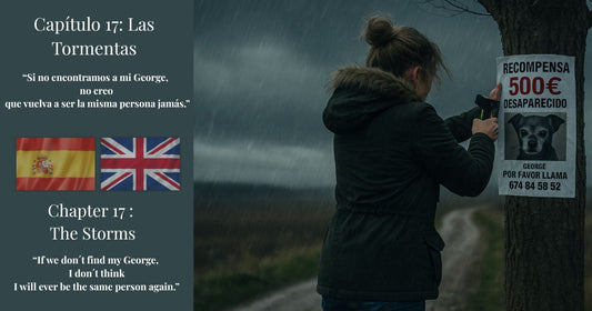 Mujer colgando cartel de perro perdido bajo la lluvia con recompensa de 500 € – Capítulo 17: Las Tormentas | Chapter 17: The Storms – George sigue desaparecido.