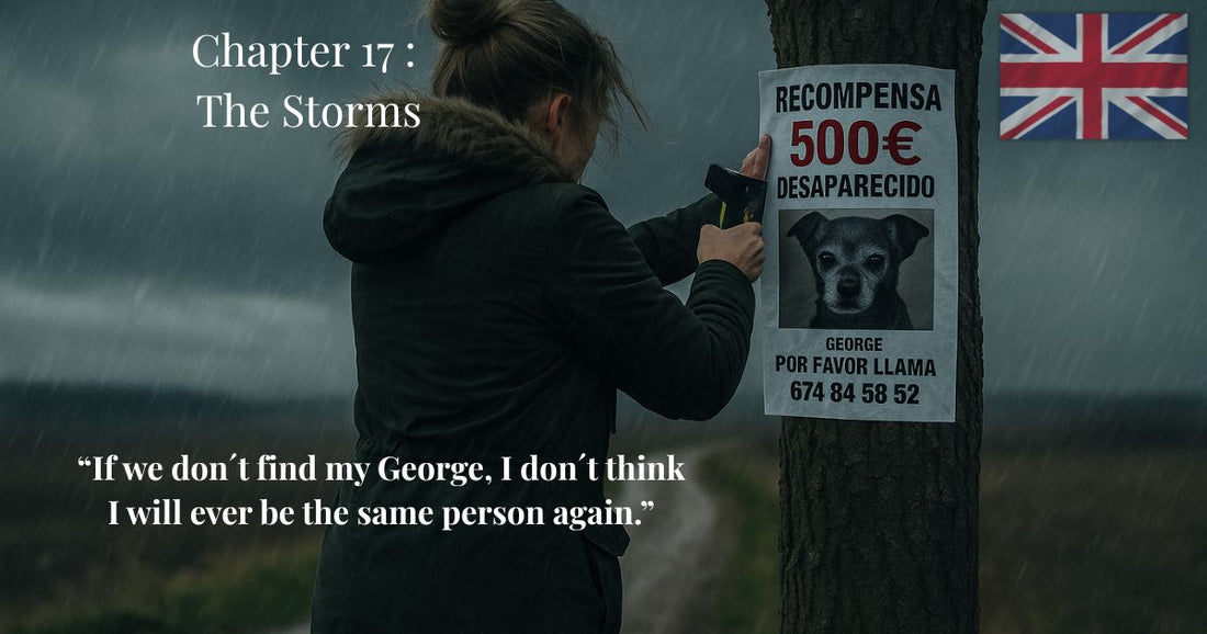 Woman posting missing dog reward flyer for George in the rain – Chapter 17 of "Finding Mr. George", with quote “If we don’t find my George, I don’t think I will ever be the same person again.”