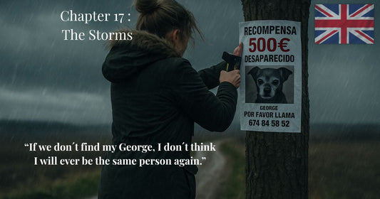 Woman posting missing dog reward flyer for George in the rain – Chapter 17 of "Finding Mr. George", with quote “If we don’t find my George, I don’t think I will ever be the same person again.”