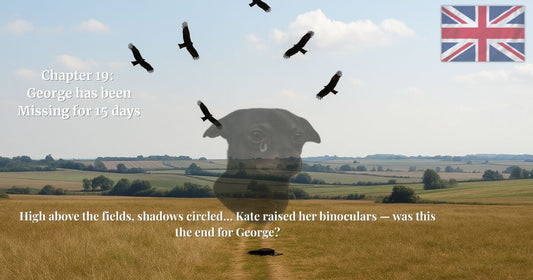 Chapter 19 George missing 15 days – birds of prey circling, dog tribute image with UK flag