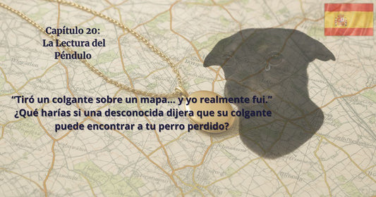 Colgante dorado sobre un mapa con la sombra de un perro y la bandera de España, para el Capítulo 20 “La Lectura del Péndulo”.