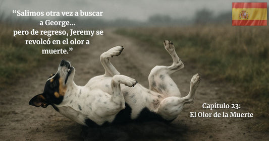 Perro tricolor revolcándose en un camino de tierra bajo un cielo gris, Capítulo 23 El Olor de la Muerte del blog Finding Mr. George historia real.