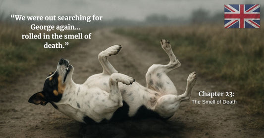 Dog rolling on a muddy countryside track during a gloomy day, Chapter 23 The Smell of Death from Finding Mr. George true story blog.