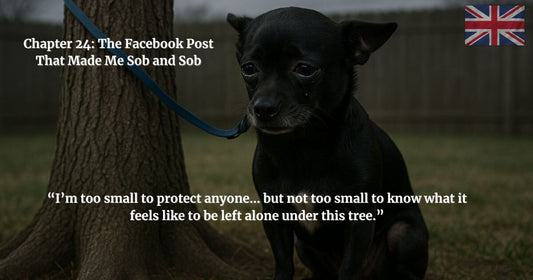 “Sad black Chihuahua with tears tied to a tree – Chapter 24 of Finding Mr. George: the Facebook post that made me sob and sob.”