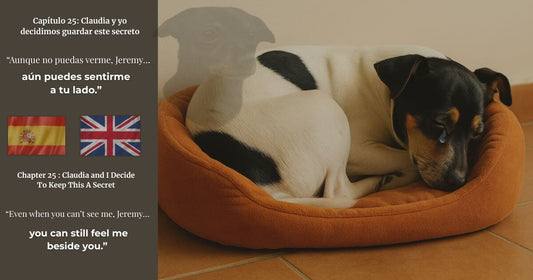 Capítulo 25 de Finding Mr George, blog bilingüe español e inglés. Un día de lluvia, miles de compartidos y el miedo de perder a Jeremy.