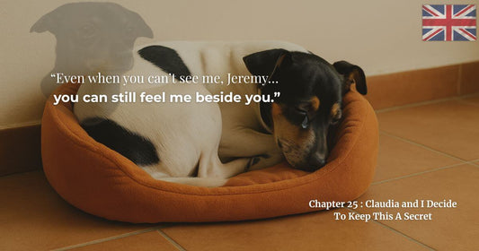 Sad dog in bed with quote about Jeremy — Chapter 25 Claudia and I Decide to Keep This a Secret, Finding Mr George book blog.