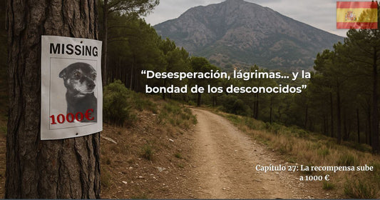 Cartel de perro perdido con recompensa de 1000€ – Capítulo 27 de Finding George en español.