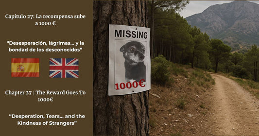 Capítulo 27 de Finding George en español e inglés – cartel de perro perdido con recompensa de 1000€ y banderas de España y Reino Unido.