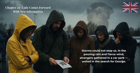 Finding Mr George Chapter 29 Lady Comes Forward With New Information – stormy car park search, strangers united in the pouring rain