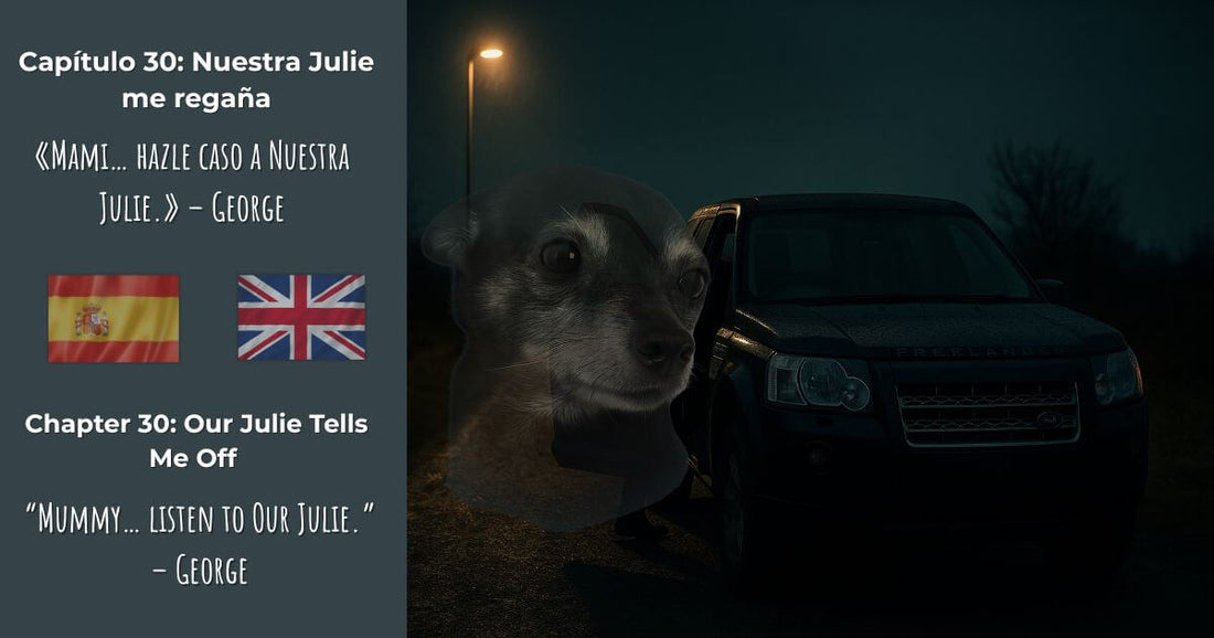 Finding Mr George Capítulo 30 – Nuestra Julie me regaña | coche Freelander azul oscuro de noche con el rostro de George y la frase en español “Mami… hazle caso a Nuestra Julie.” Blog bilingüe.