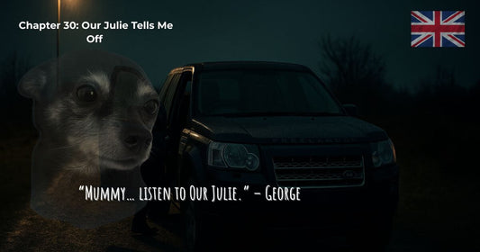 Finding Mr George Chapter 30: Our Julie Tells Me Off – a dark Land Rover Freelander parked at night, George’s face overlay with the quote “Mummy… listen to Our Julie.”