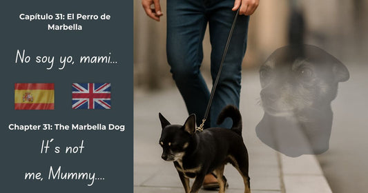 En Busca de George – Capítulo 31 El Perro de Marbella. Imagen bilingüe con George fantasmal y un perro parecido en Marbella, espacio para bandera.