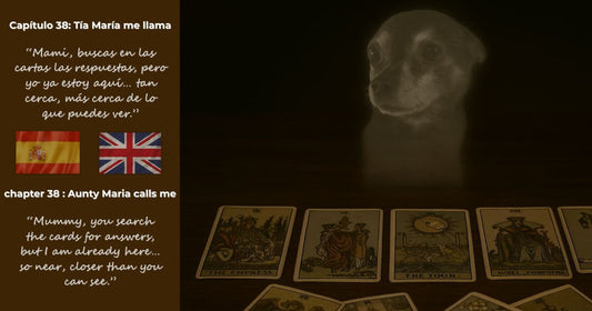 Imagen bilingüe del Capítulo 38 “Mi tía María me llama / Aunty Maria Calls Me” del libro Finding Mr. George, con George sobre cartas del tarot.