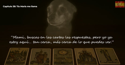 Imagen fantasmal de George sobre cartas del tarot – Capítulo 38 “Mi tía María me llama” del libro Finding Mr. George.