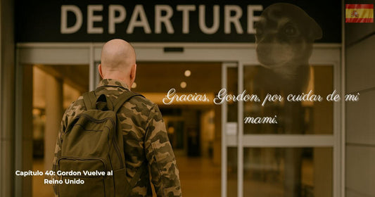 Capítulo 40 de Buscando a George – Gordon se despide en el aeropuerto mientras el espíritu de George lo observa.