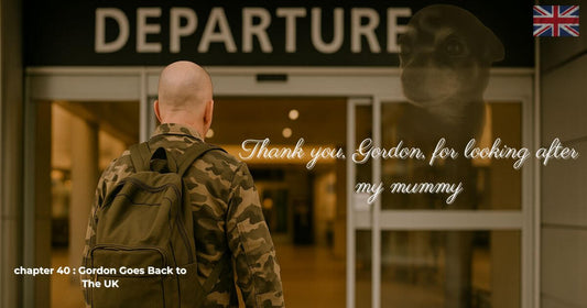 Chapter 40 of Finding George – Gordon leaves at the airport while George’s spirit watches over him.