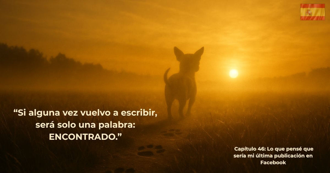 Amanecer dorado con un perro caminando hacia la luz — imagen del libro En Busca de George, Capítulo 46: Mi Última Publicación en Facebook.