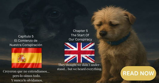 Perro pequeño con collar azul y lágrima, con imagen difuminada de otro perro detrás, ilustración para Capítulo 5 – El Comienzo de Nuestra Conspiración, historia real de pérdida y lealtad en Alhaurín el Grande.