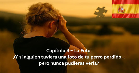Mujer rubia de espaldas al atardecer con una pieza de puzzle flotando. Texto: “Capítulo 4 – La Foto”.