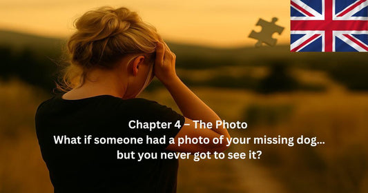 Blonde woman in field at sunset with puzzle piece floating, text says “Chapter 4 – The Photo”