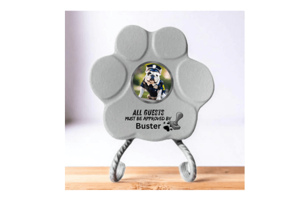 Lo Que Más Compran los Dueños de Mascotas y el Regalo Perfecto para Amantes de los Perros