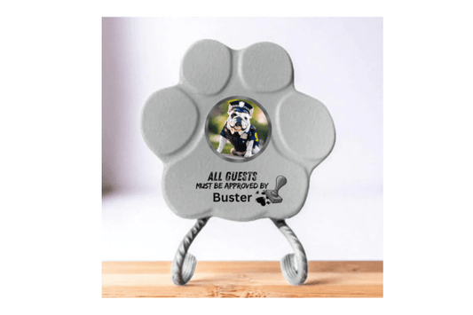 Lo Que Más Compran los Dueños de Mascotas y el Regalo Perfecto para Amantes de los Perros