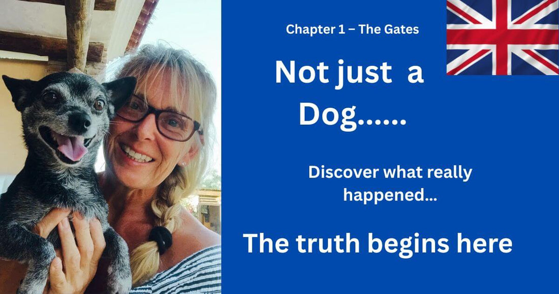 "Una foto de la autora sosteniendo a George, un Chihuahua querido, con el texto que dice: 'No es solo un perro — descubre lo que realmente sucedió. La verdad comienza aquí.'"