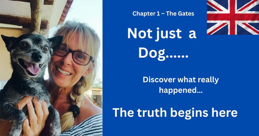 "Una foto de la autora sosteniendo a George, un Chihuahua querido, con el texto que dice: 'No es solo un perro — descubre lo que realmente sucedió. La verdad comienza aquí.'"