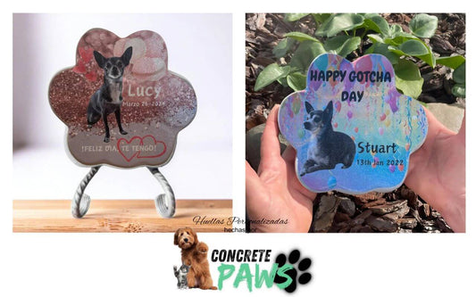 Regalos Originales para Amantes de los Perros: Ideas Personalizadas que Tocan el Corazón
