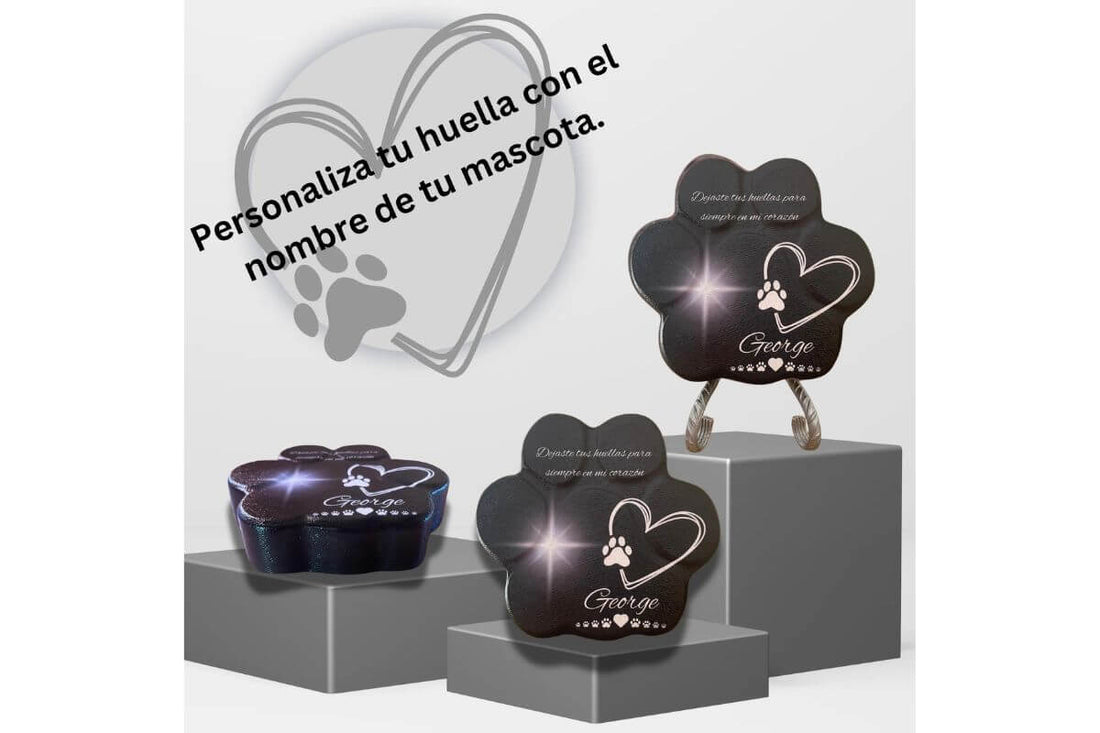 Todavía extraño a los perros que he perdido: un homenaje eterno a su amor