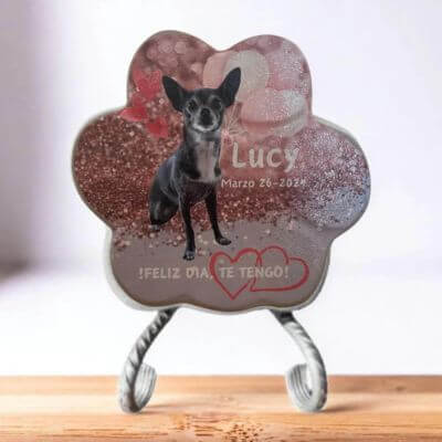 Imagen de la huella de piedra personalizada en el soporte, mostrando el diseño completo con la foto de la mascota, su nombre y las palabras 'Feliz Día, Te Tengo