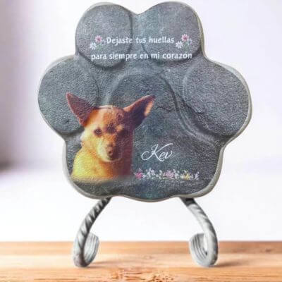 Placa conmemorativa personalizada para mascotas con foto a todo color sobre huella de hormigón gris, imagen de perro con nombre y flores decorativas.