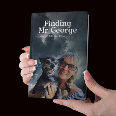 Portada del libro Finding Mr George escrito por Christine Gittings