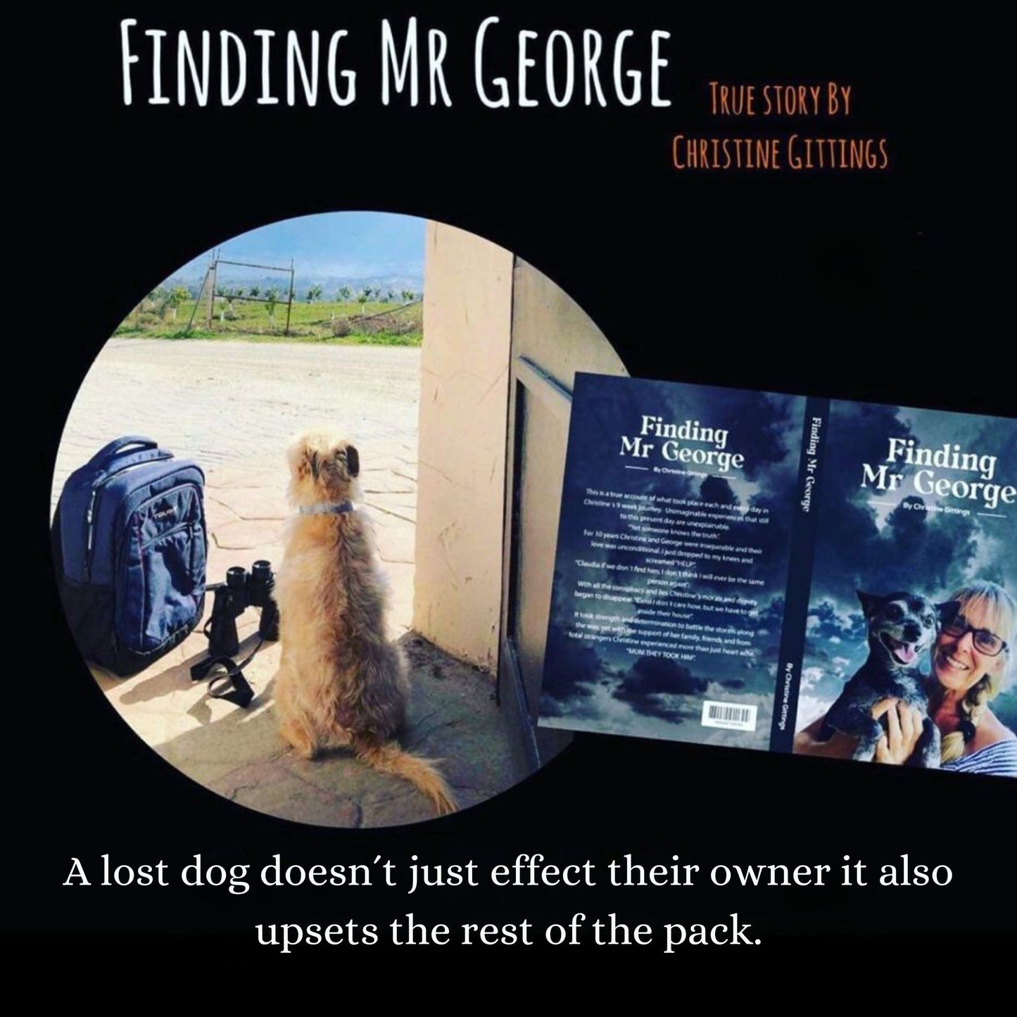 Finding Mr George