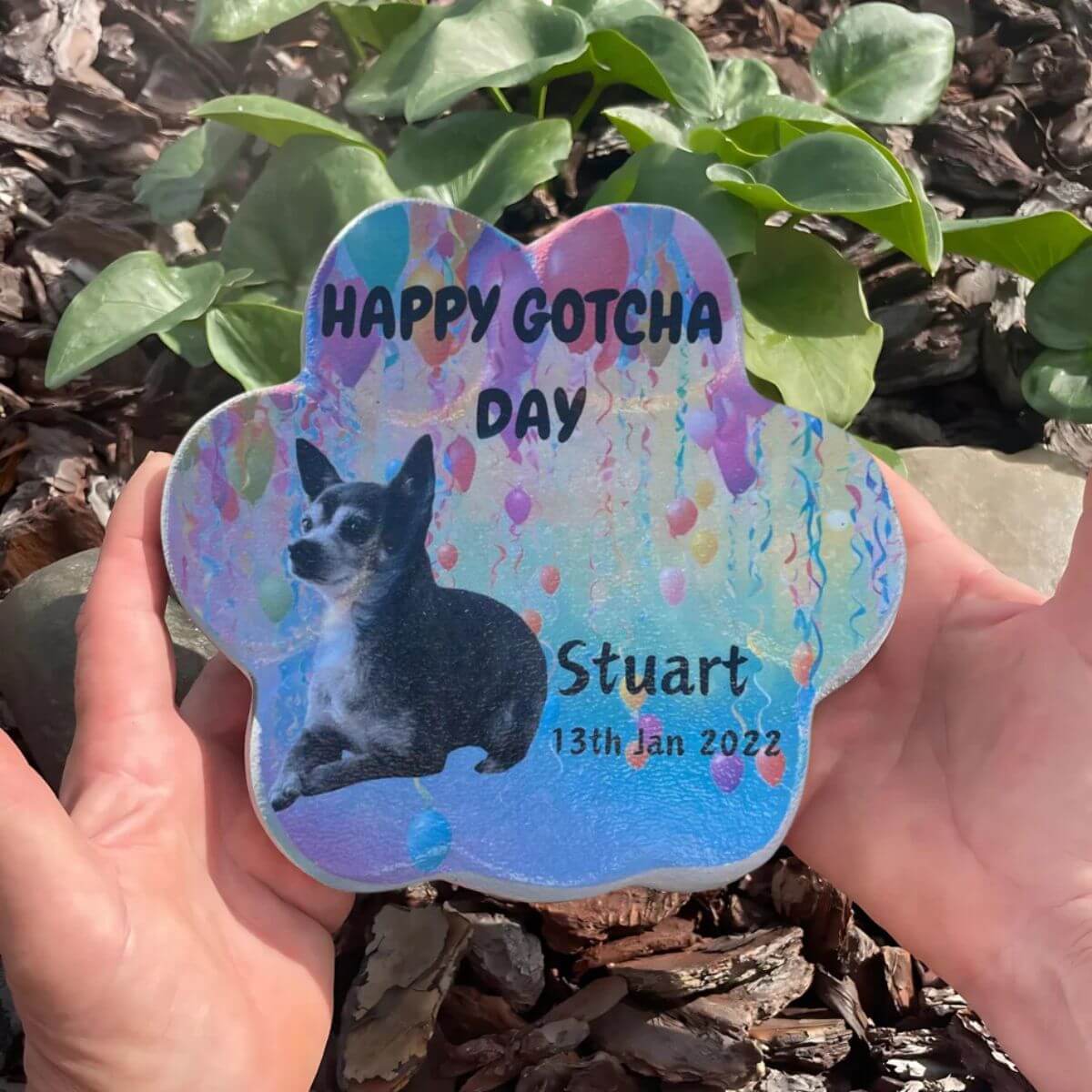 Imagen de la huella de piedra personalizada sostenida en la mano, con foto de mascota y frase 'Feliz Día, Te Tengo' — regalo para amantes de las mascotas.