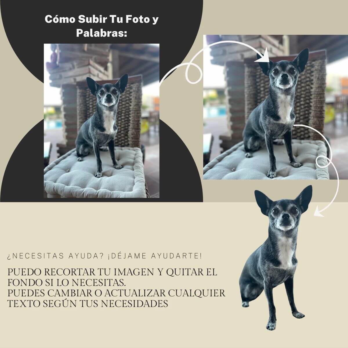 Imagen con instrucciones paso a paso sobre cómo subir la foto de tu mascota para personalizar la huella de piedra

