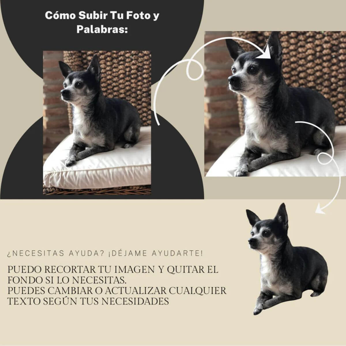 Imagen con instrucciones paso a paso para subir la foto de tu mascota y personalizar la huella de piedra. Un regalo único y especial para amantes de las mascotas.

